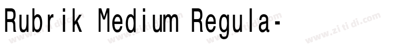 Rubrik Medium Regula字体转换